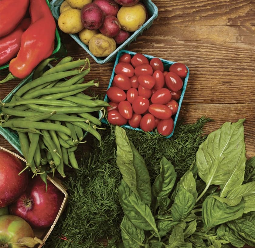 Fresh produce growing in a greenhouse operation