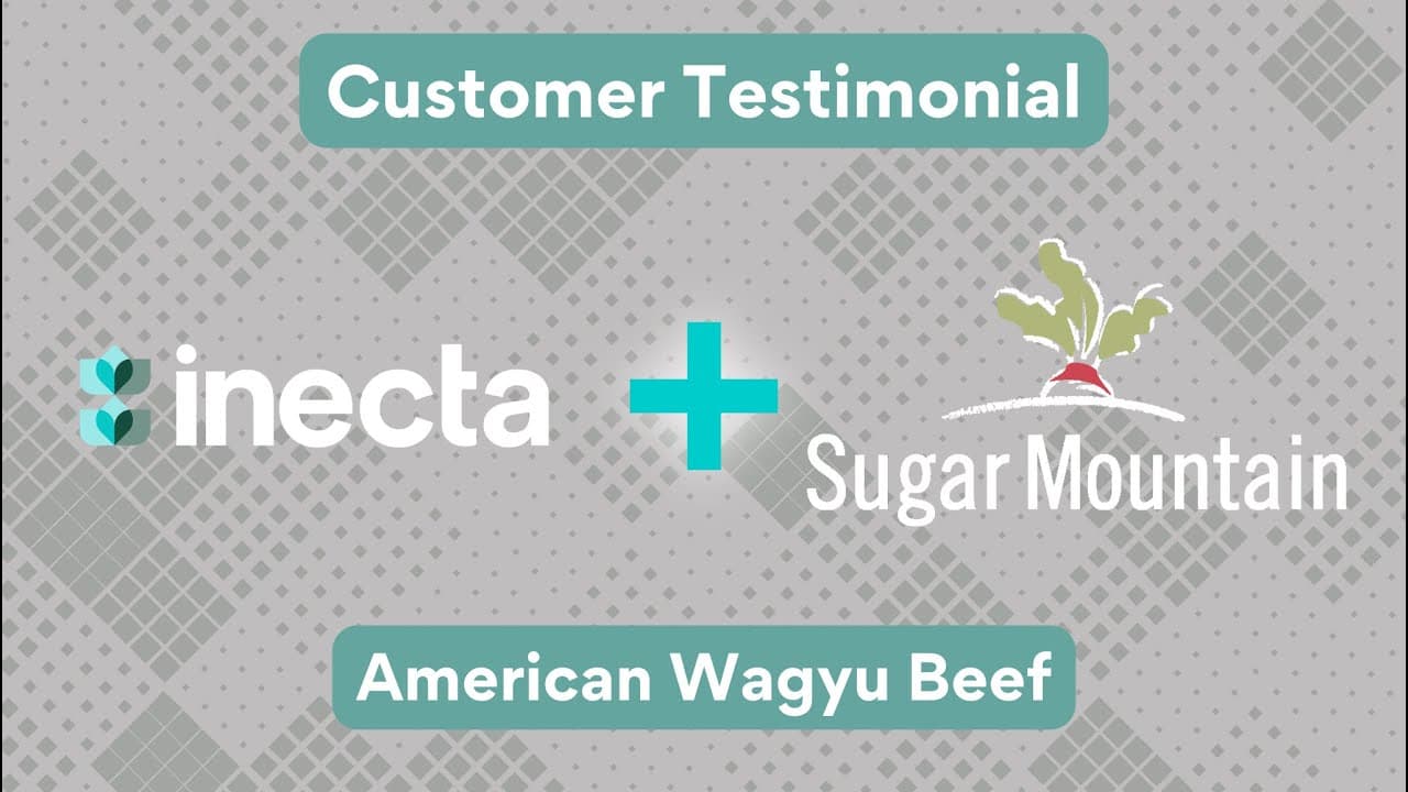 Sugar Mountain Livestock customer story video