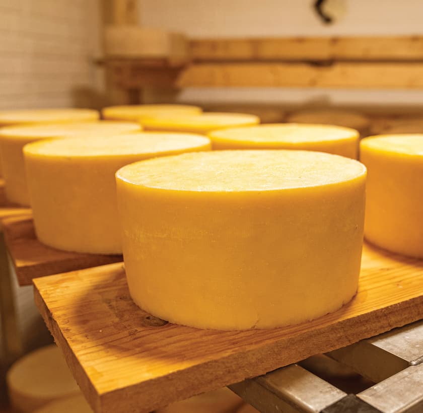 Dairy processing facility