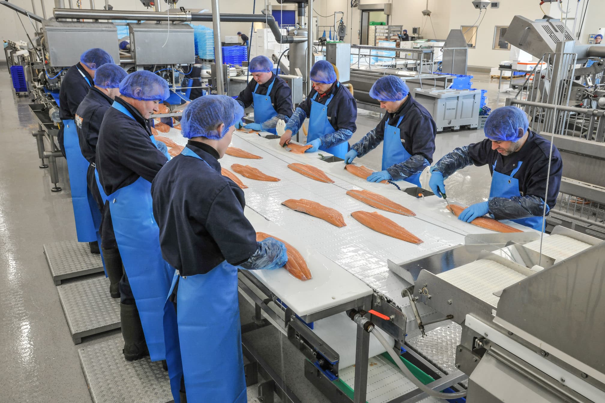 iNECTA Food ERP for Seafood Processors