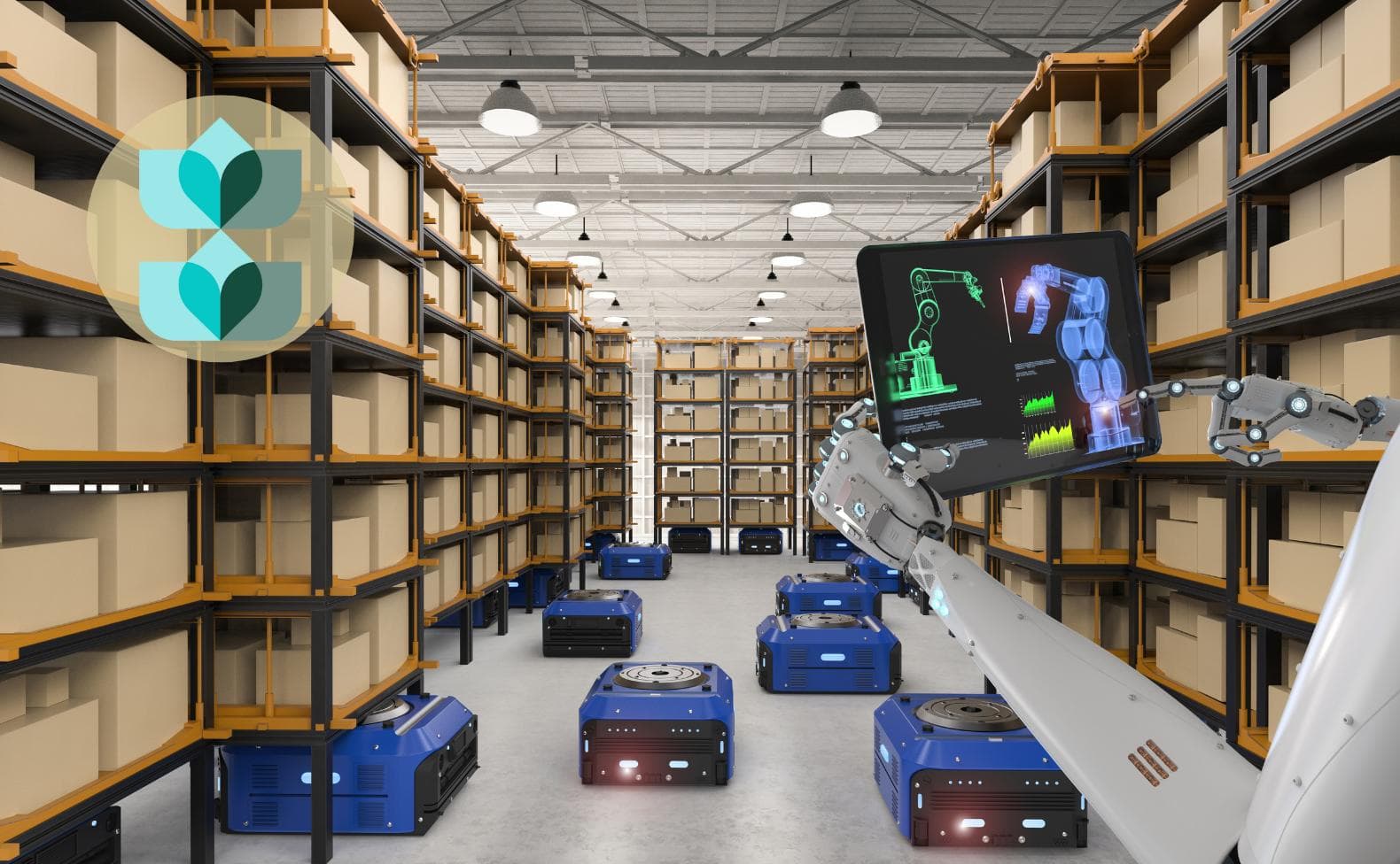 What is a Warehouse Control System?