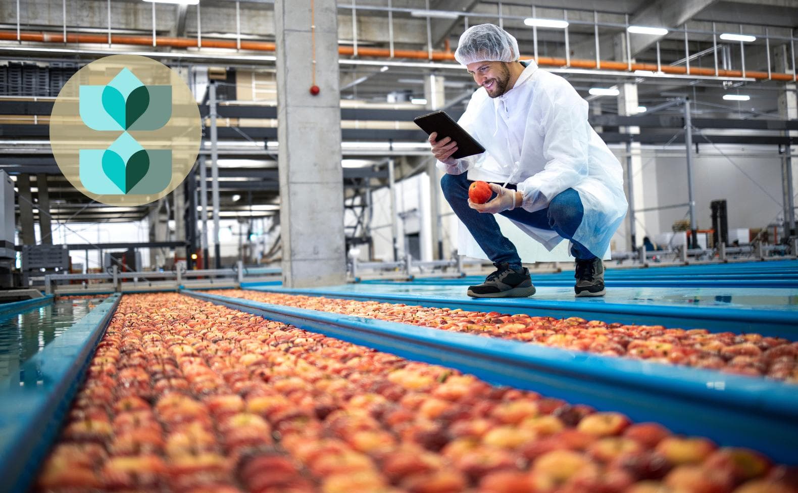 Implementing An ERP For Your Food Business? Here's What You Should Know