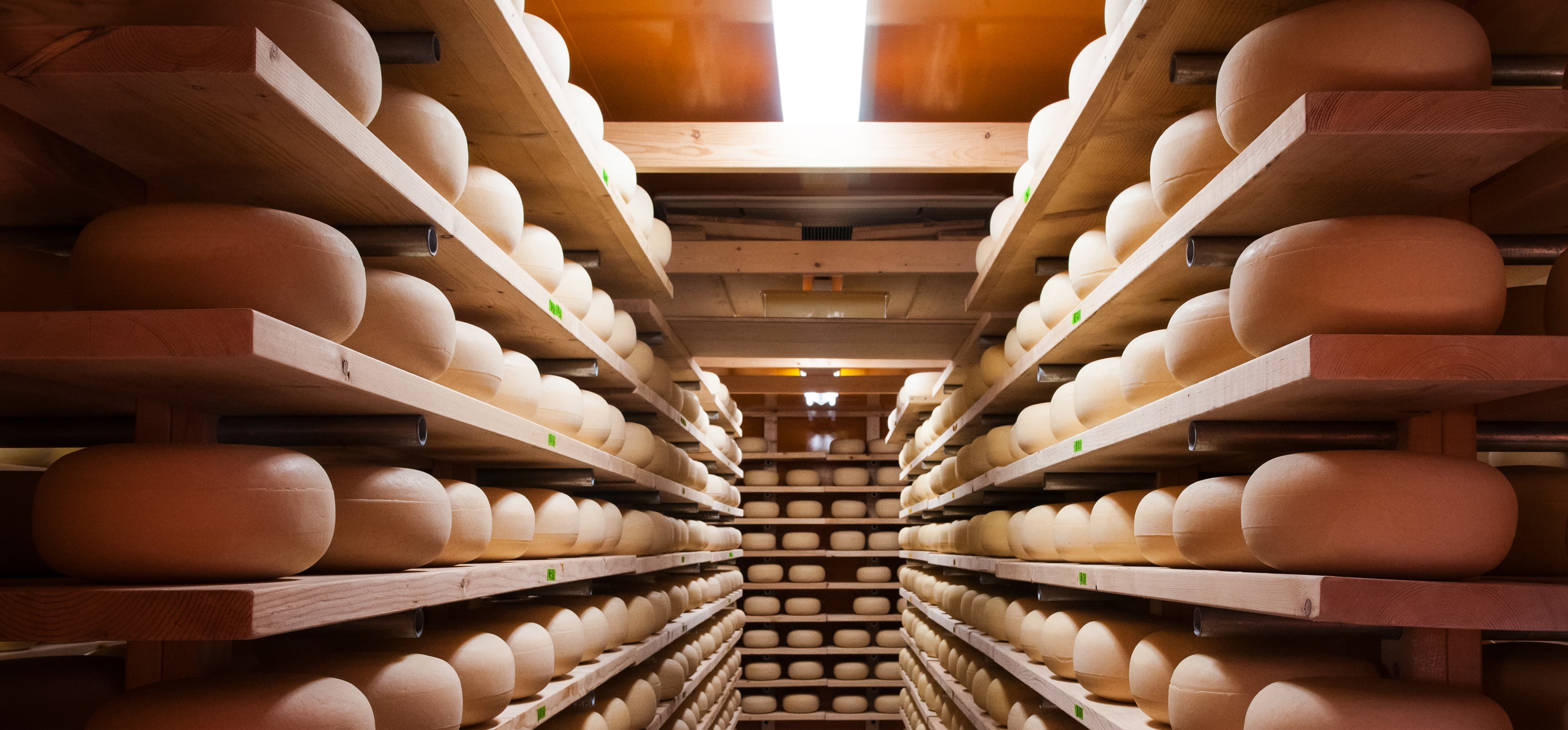 AdobeStock_170031577