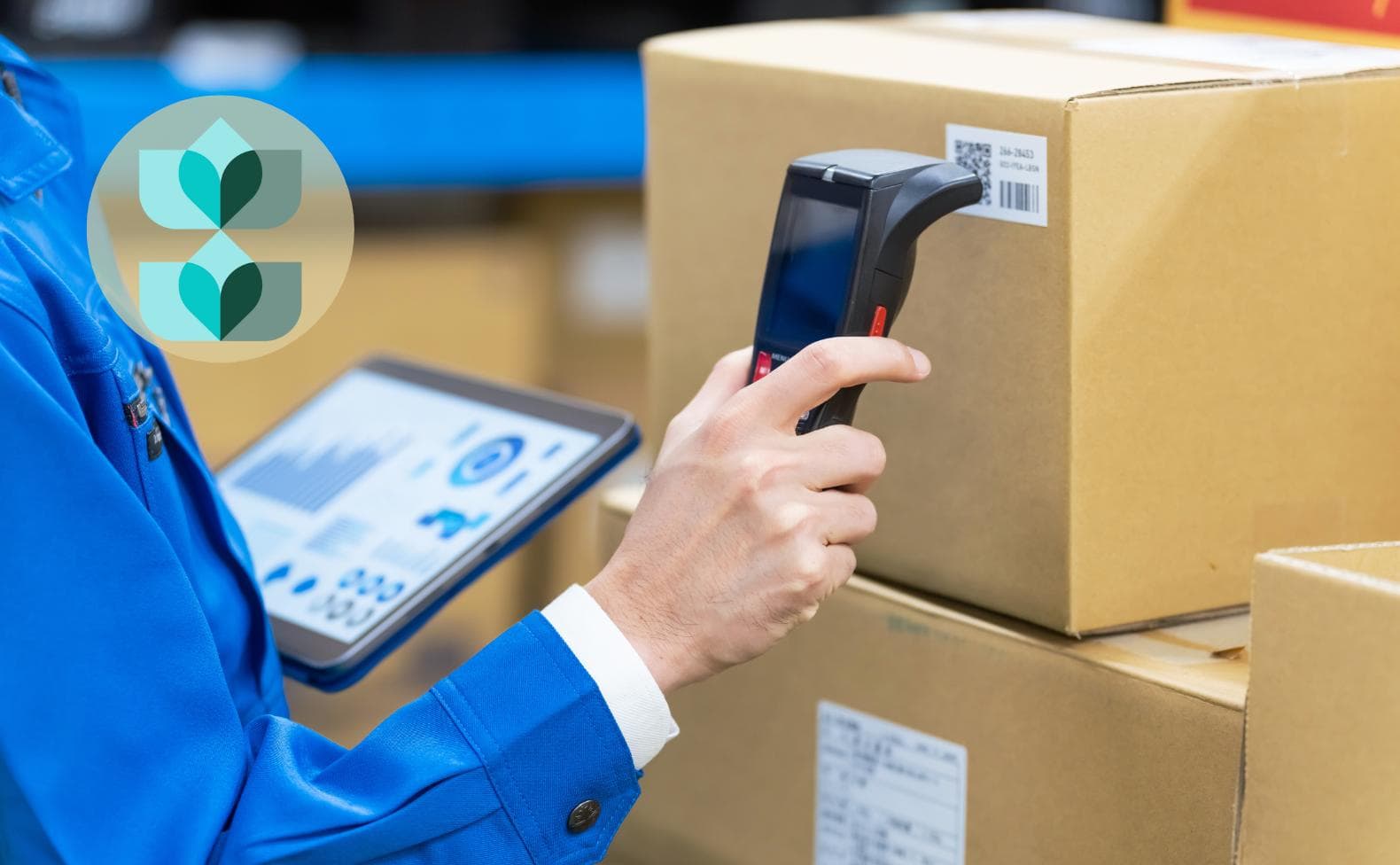 Warehouse Management Software: What Is WMS and What Does It Cost?