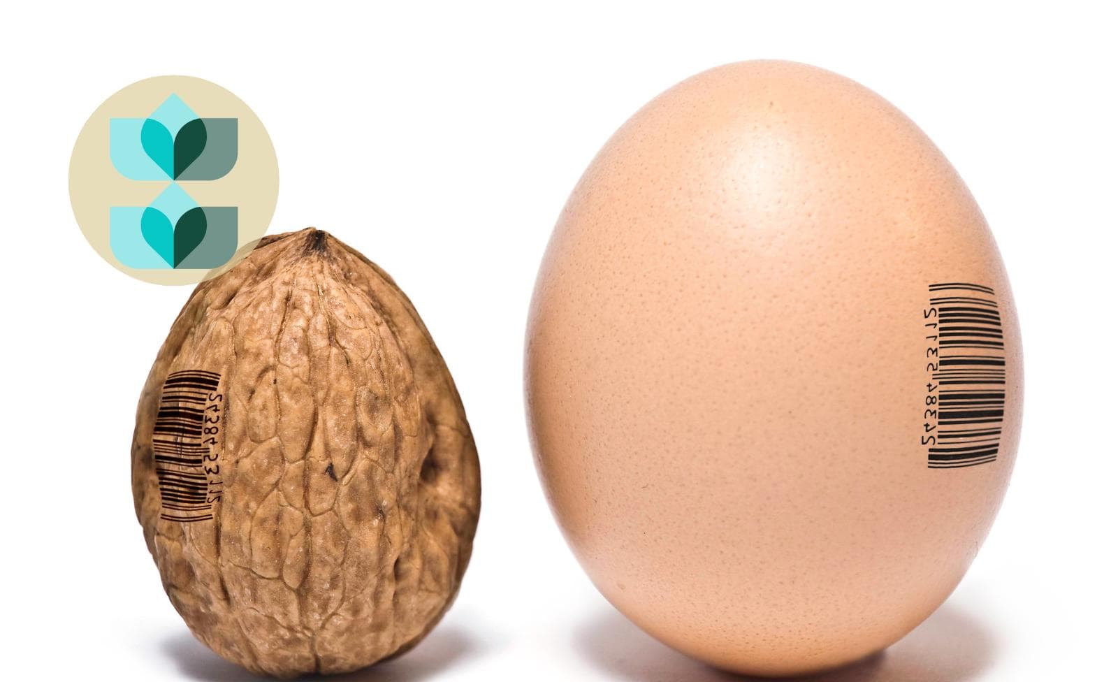 Lot Traceability in Food Manufacturing