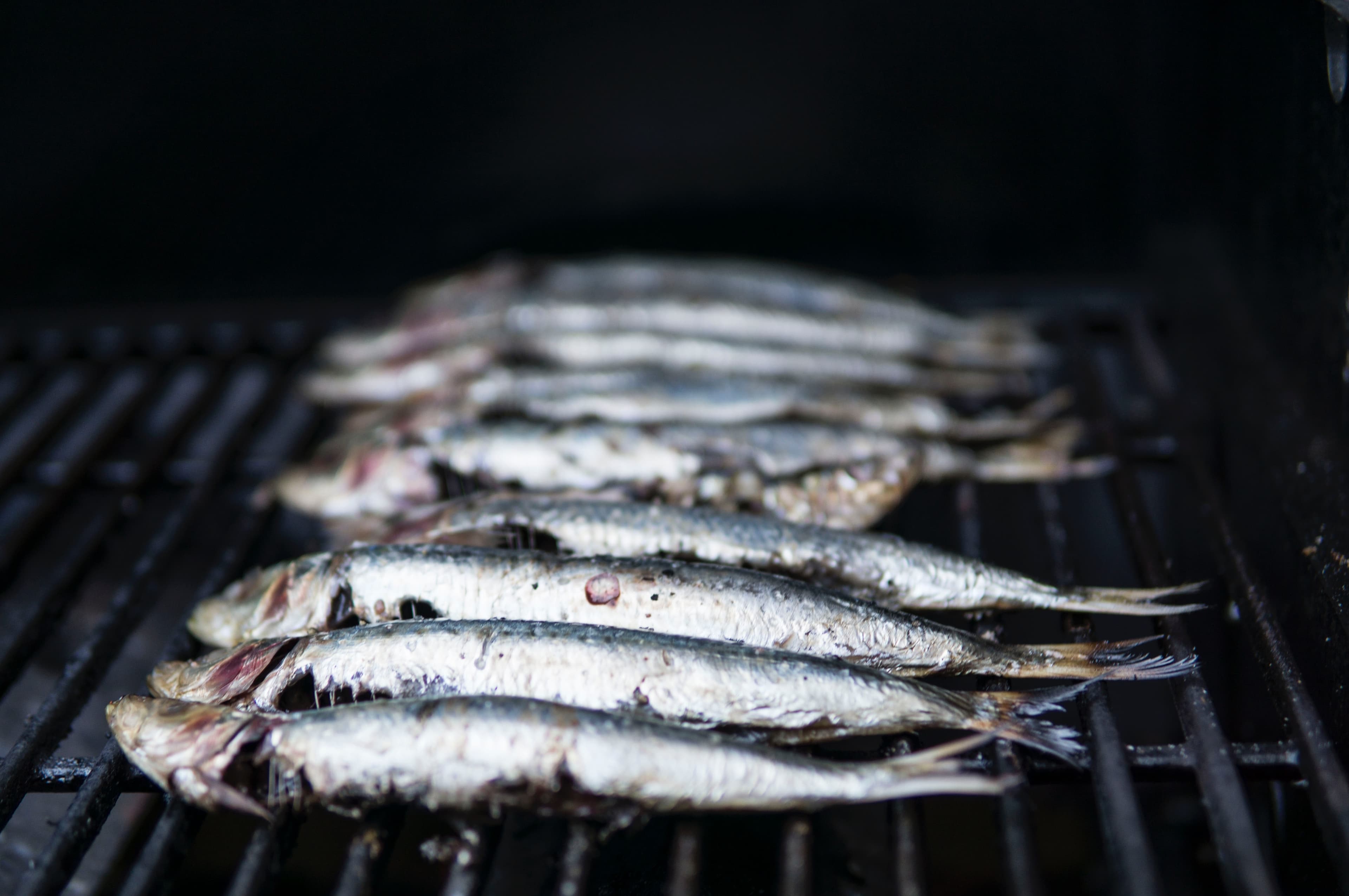 ERP For Seafood: The Next Big Thing