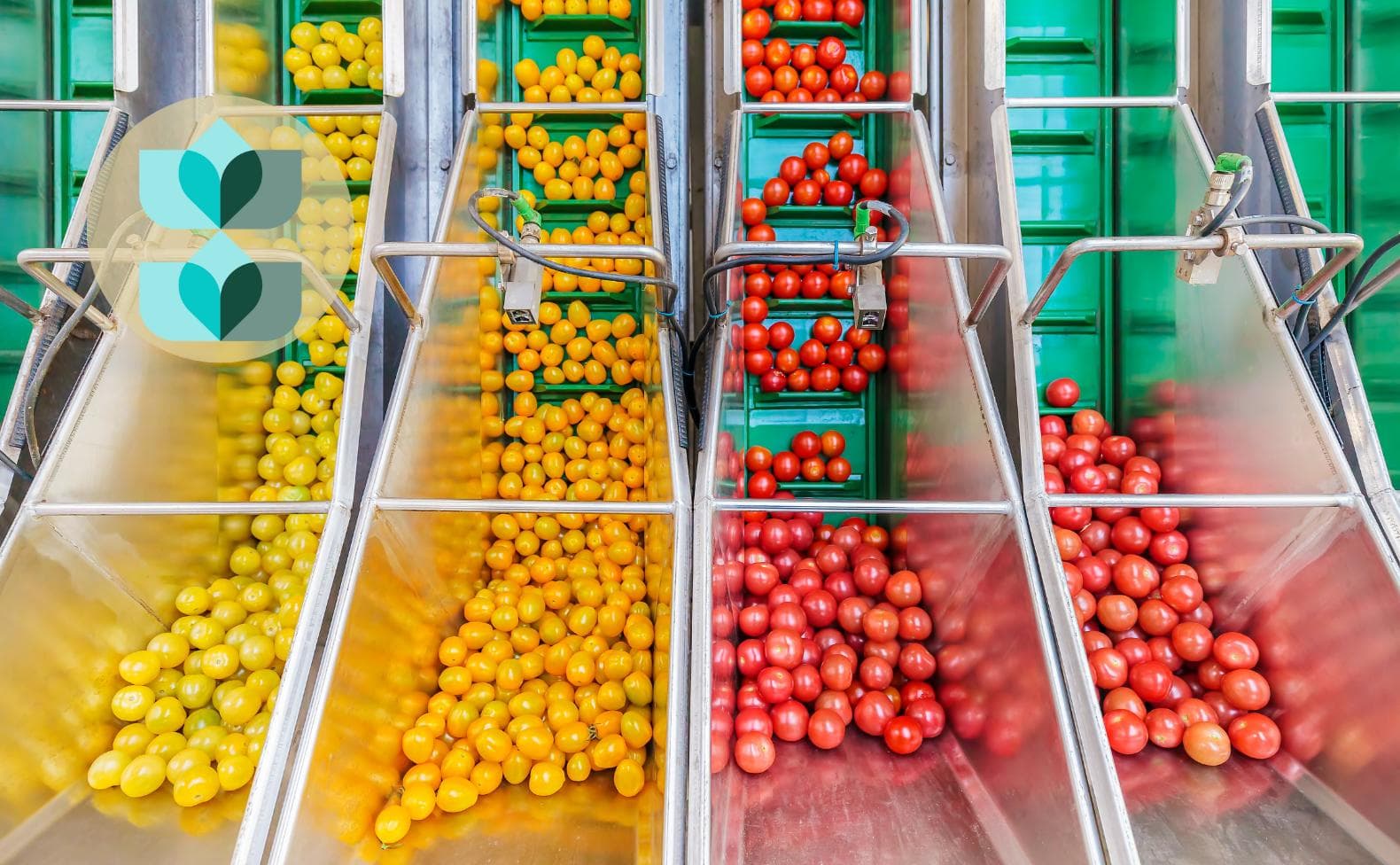 Scalability of Food Manufacturing Software: What You Need to Know
