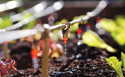 drip irrigation