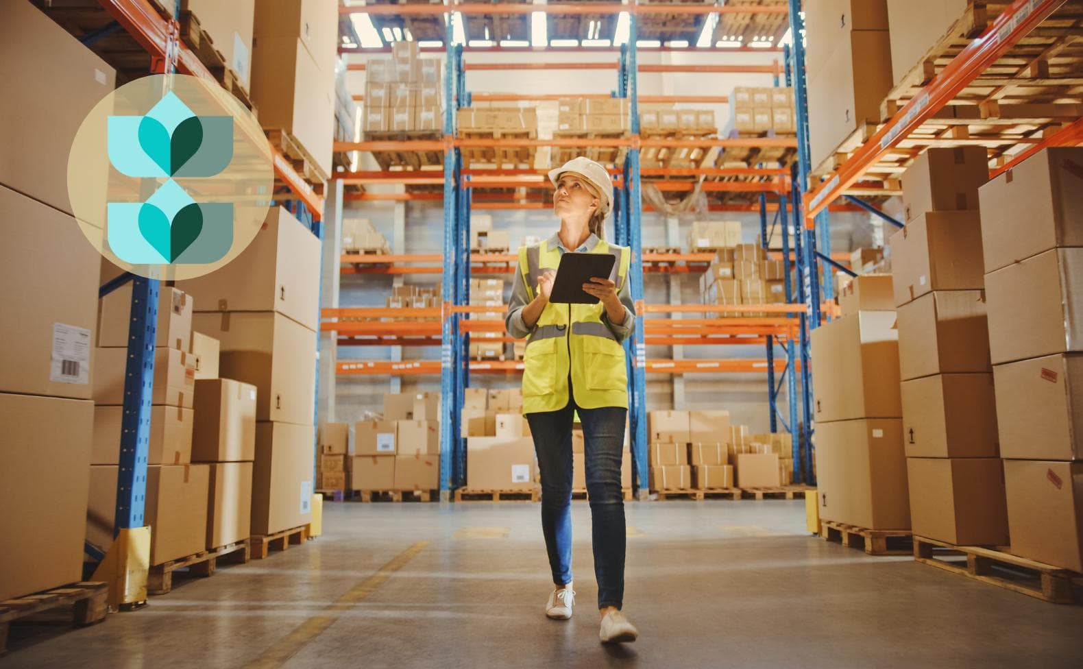 Logistics Software: Revolutionizing the Production Process