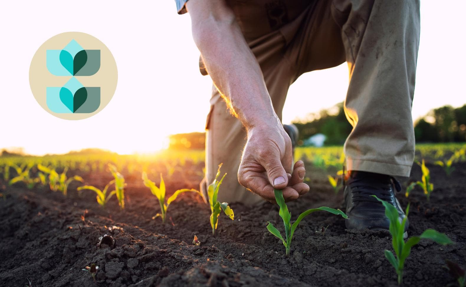 Most Profitable Crops in 2025: Ranked by Revenue Per Acre