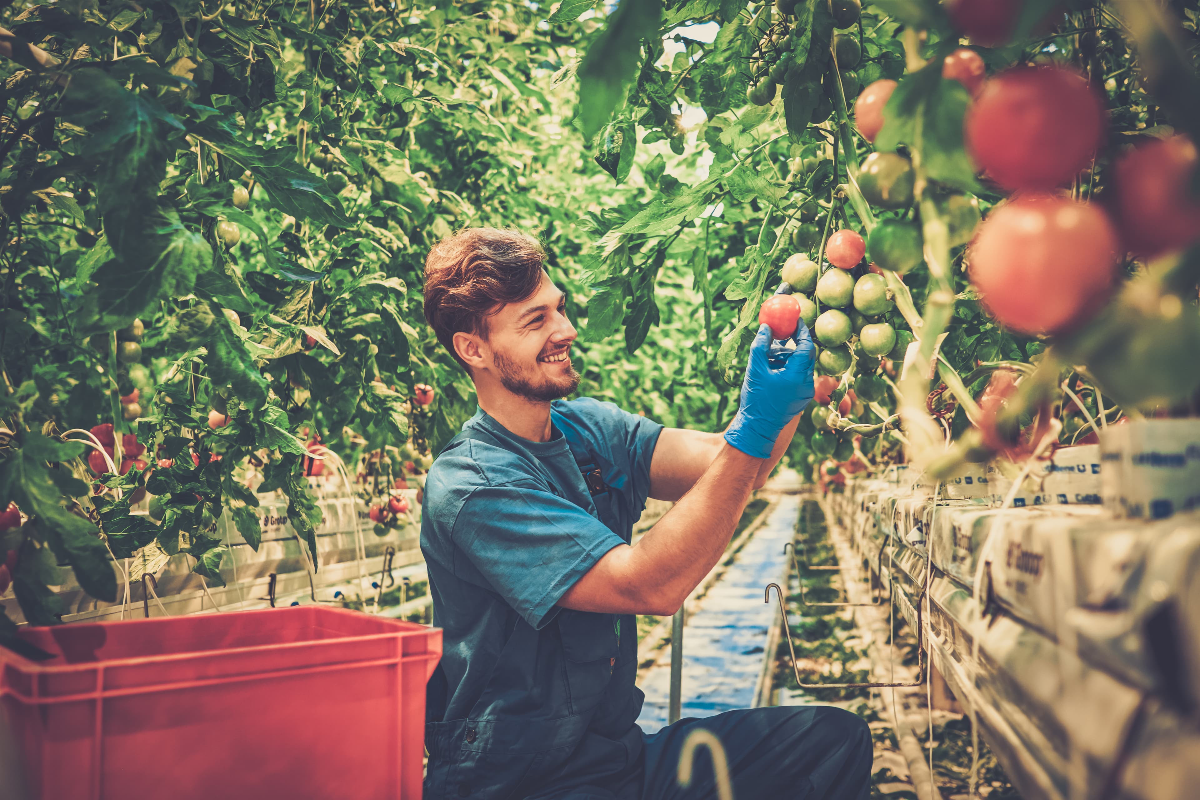 AdobeStock_189460499