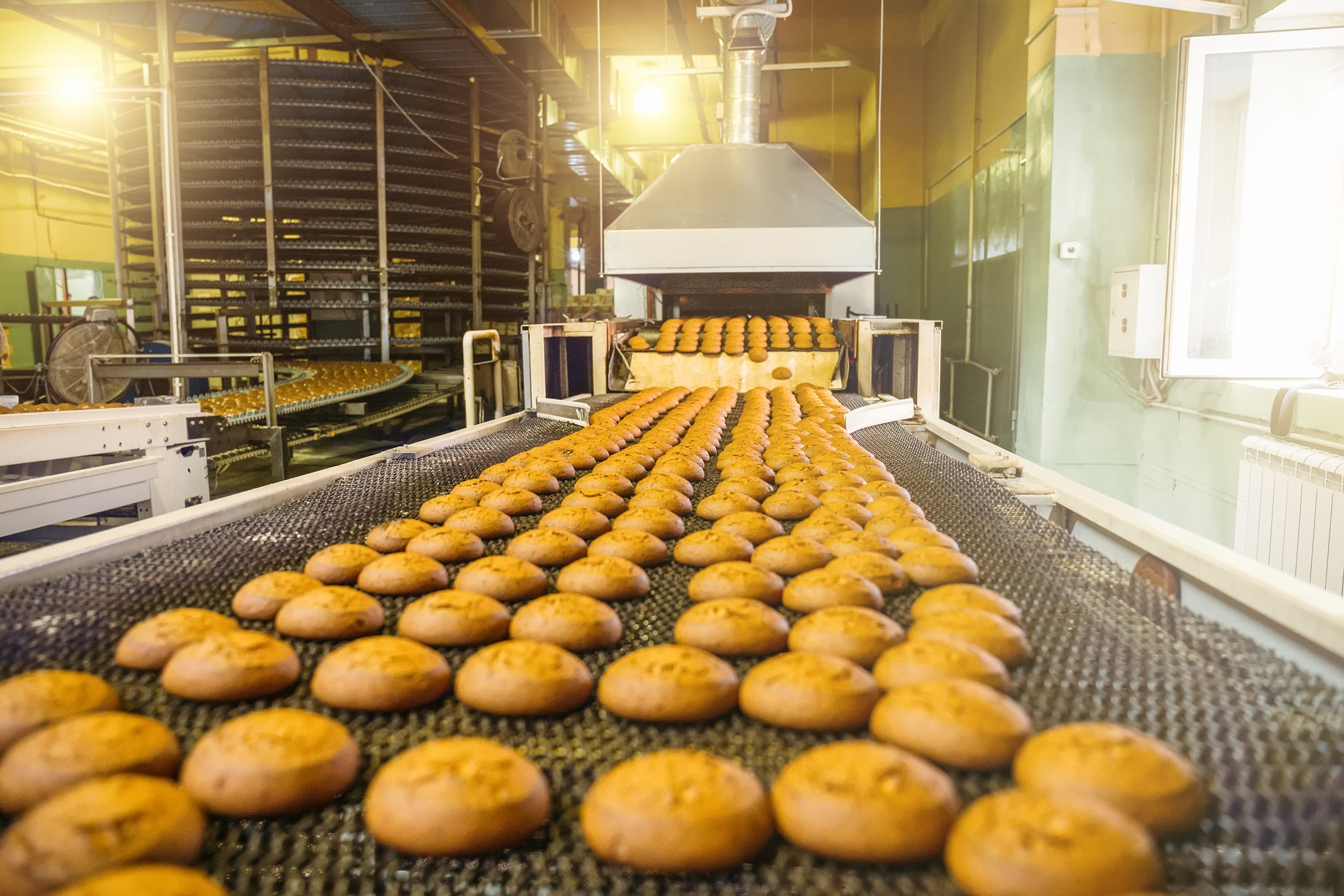 Deciding on The Perfect Food Manufacturing ERP System