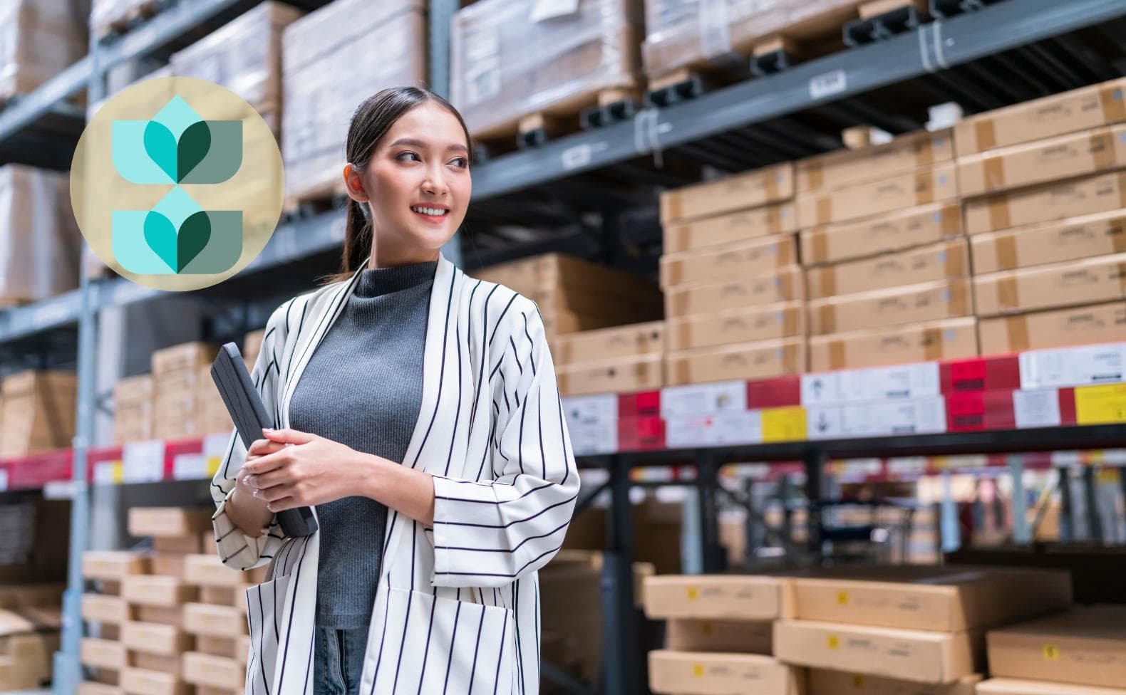 Material Management Software: Materializing Processual Efficiency