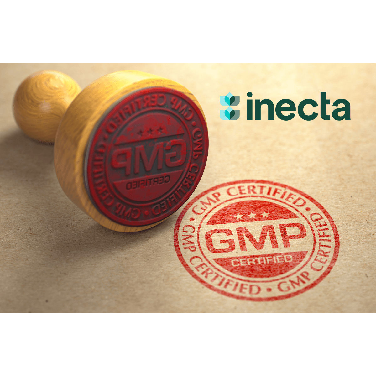 GMP In The Food Industry