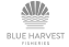 BlueHarvestFisheries_logo 1