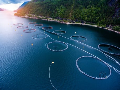 aquaculture