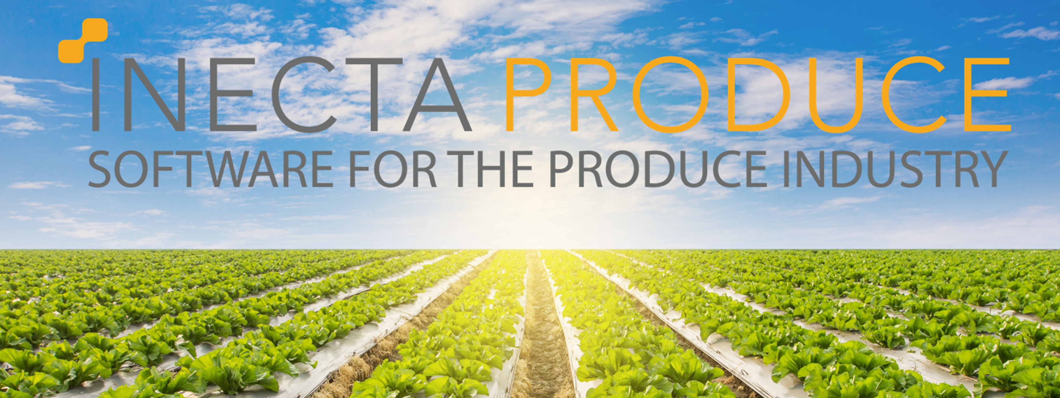 produce fundamentals