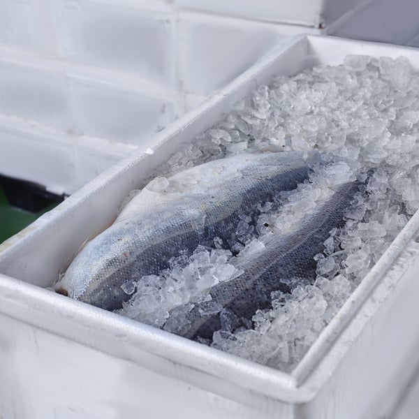 purchasing-seafood-features-pic