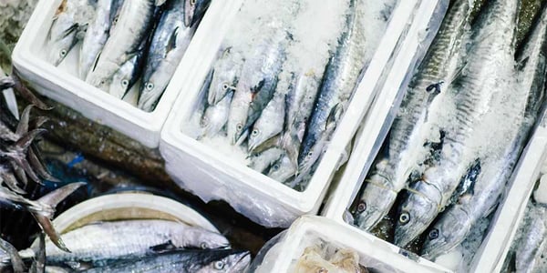 shipping seafood