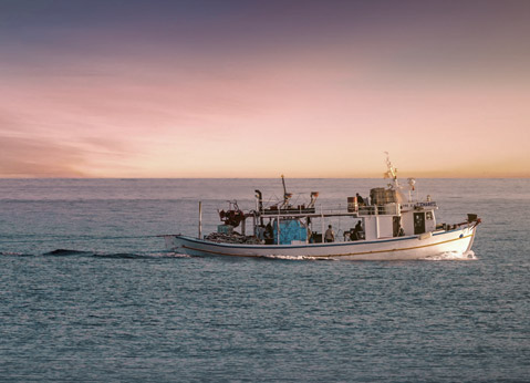 SIP-Fishery-CTA-v2