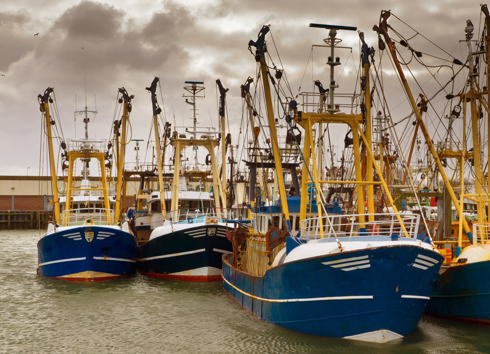 SIP-Fishery-vessel-management-v1