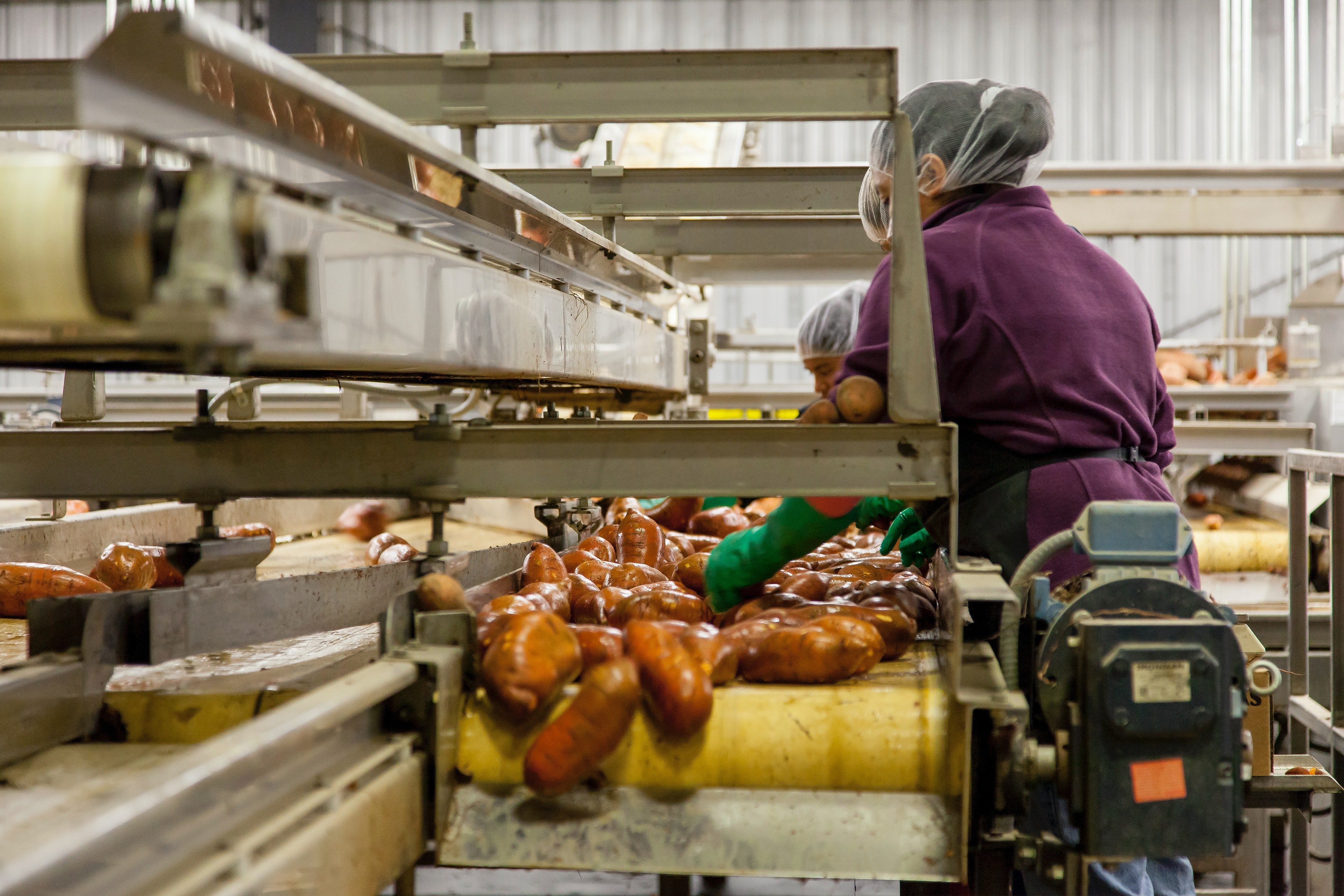 food workers